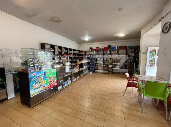 Casa de vânzare 6 camere Exterior Vest - 96012CV | BLITZ Târgu Mureș | Poza8