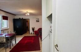  Apartament de 2 camere, 38 mp, semidecomandat, zona Mureseni