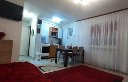  Apartament de 2 camere, 38 mp, semidecomandat, zona Mureseni