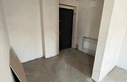 Apartament cu o camera, 45mp, bloc nou, Mureseni