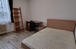 Garsoniera de 27 mp, recent renovata, 7 Noiembrie