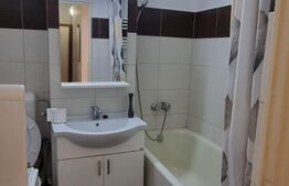 Garsoniera de 27 mp, recent renovata, 7 Noiembrie