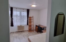 Garsoniera de 27 mp, recent renovata, 7 Noiembrie
