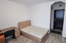 Garsoniera de 27 mp, recent renovata, 7 Noiembrie