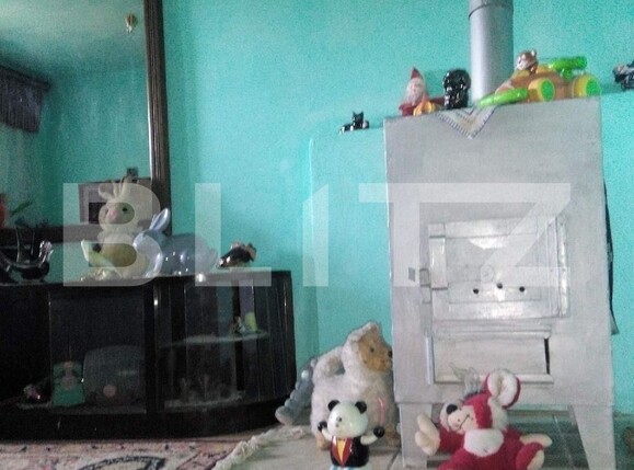 Casa de vânzare 3 camere Sâncraiu de Mureș - 97027CV | BLITZ Târgu Mureș | Poza5