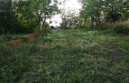 Casa 3 camere, 80 mp, 650 mp, zona Cornesti