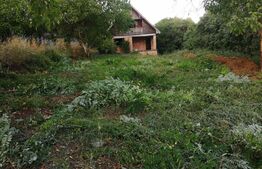 Casa 3 camere, 80 mp, 650 mp, zona Cornesti