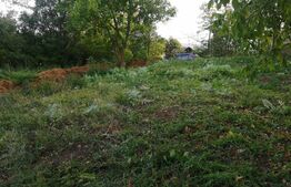 Casa 3 camere, 80 mp, 650 mp, zona Cornesti