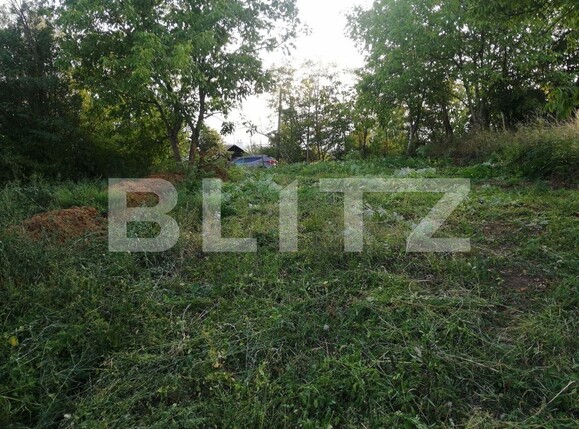 Casa de vânzare 3 camere Cornisa - 97033CV | BLITZ Târgu Mureș | Poza4