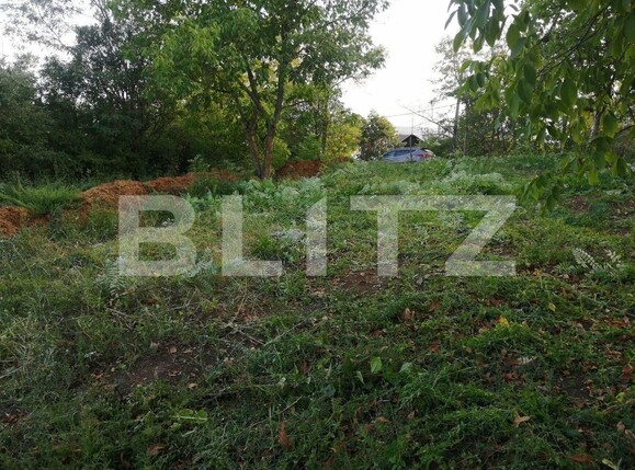 Casa de vânzare 3 camere Cornisa - 97033CV | BLITZ Târgu Mureș | Poza5