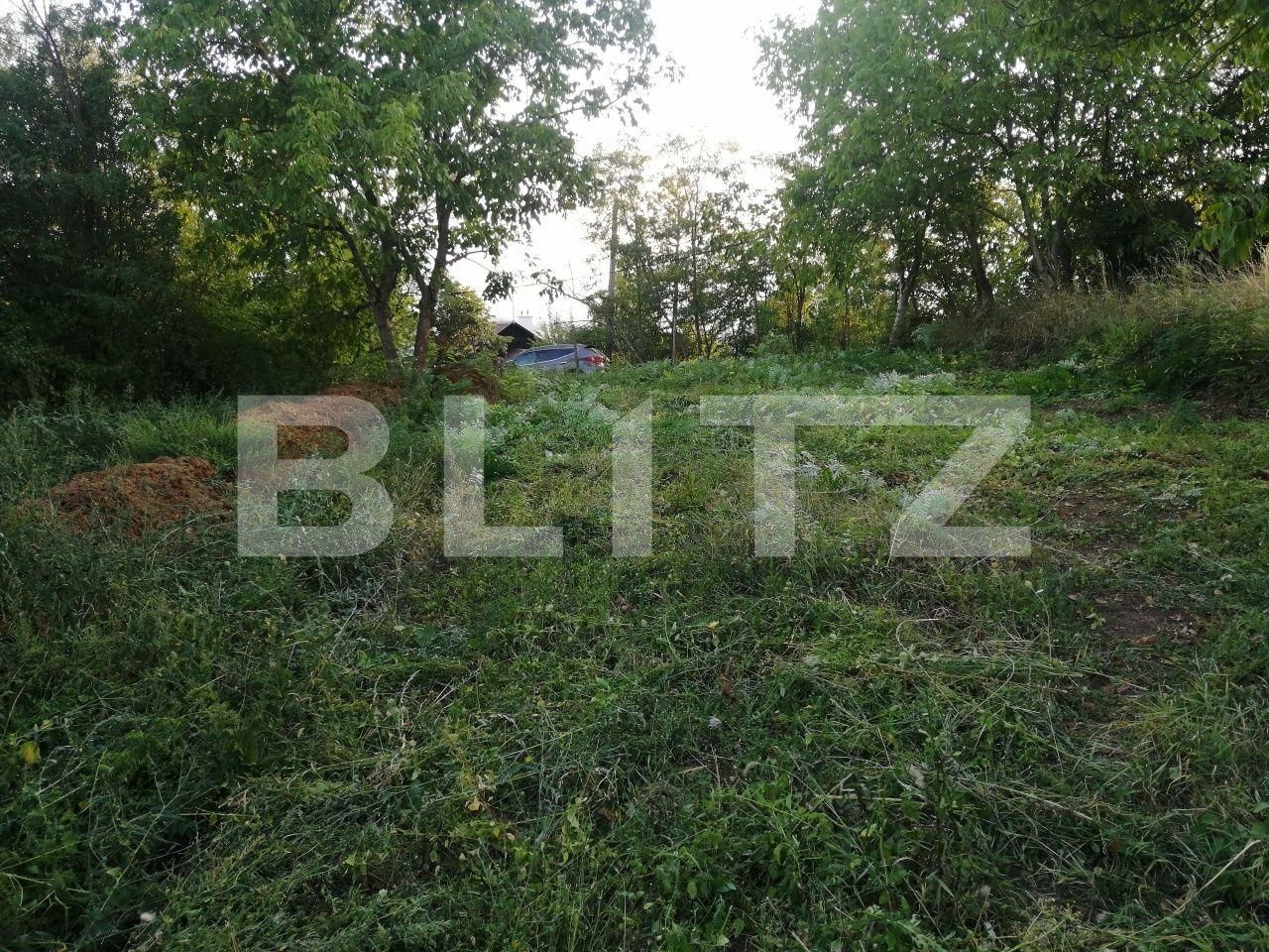 Casa de vânzare 3 camere Cornisa - 97033CV | BLITZ Târgu Mureș | Poza4