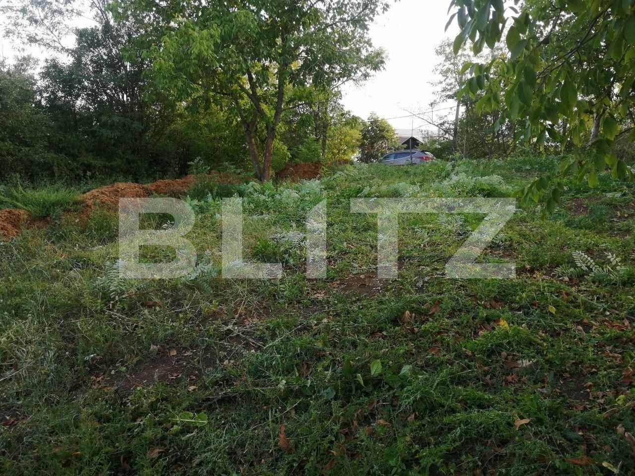 Casa de vânzare 3 camere Cornisa - 97033CV | BLITZ Târgu Mureș | Poza5