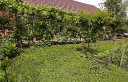 Casa 3 camere, 170 mp, zona Unirii