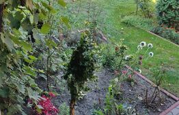 Casa 3 camere, 170 mp, zona Unirii