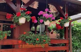 Casa 3 camere, 170 mp, zona Unirii