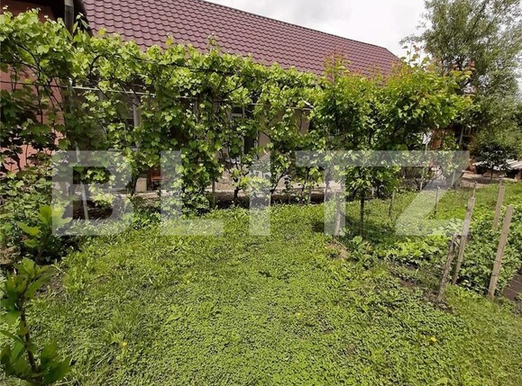 Casa de vânzare 3 camere Unirii - 97037CV | BLITZ Târgu Mureș | Poza4