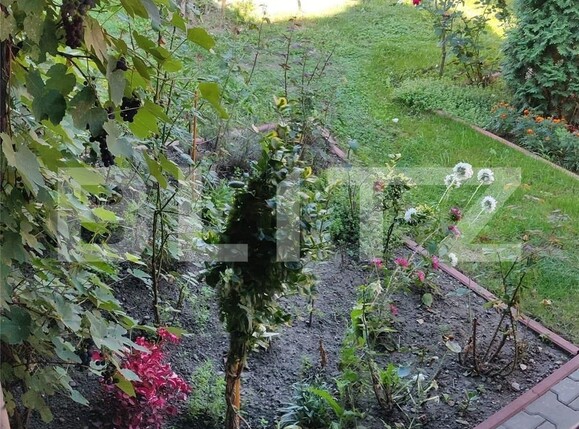 Casa de vânzare 3 camere Unirii - 97037CV | BLITZ Târgu Mureș | Poza5