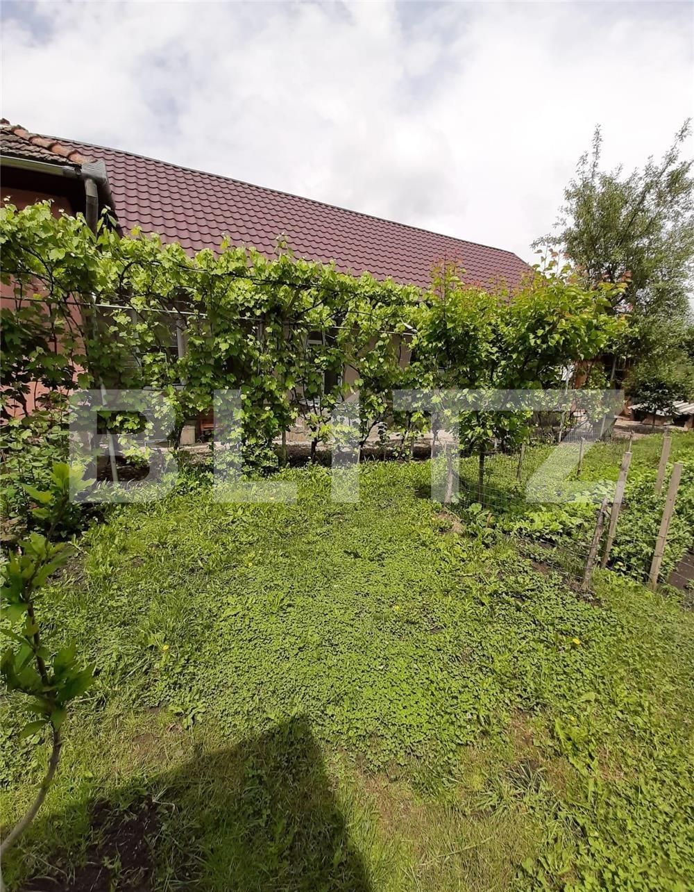 Casa de vânzare 3 camere Unirii - 97037CV | BLITZ Târgu Mureș | Poza4