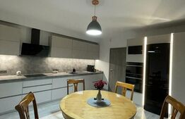 Casa 5 camere, 290 mp, 1300 mp teren, zona Unirii