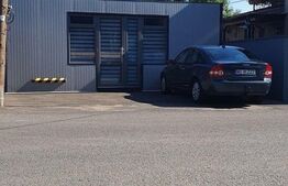 Casa de 5 camere, 185 mp, Carpati