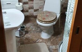 Casa de 5 camere, 185 mp, Carpati