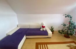 Casa de 6 camere, 155 mp, 1100 mp curte, Ungheni