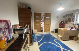 Casa de 6 camere, 155 mp, 1100 mp curte, Ungheni