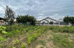  Casa de 3 camere, 92 mp, 5 ari teren, Nazna