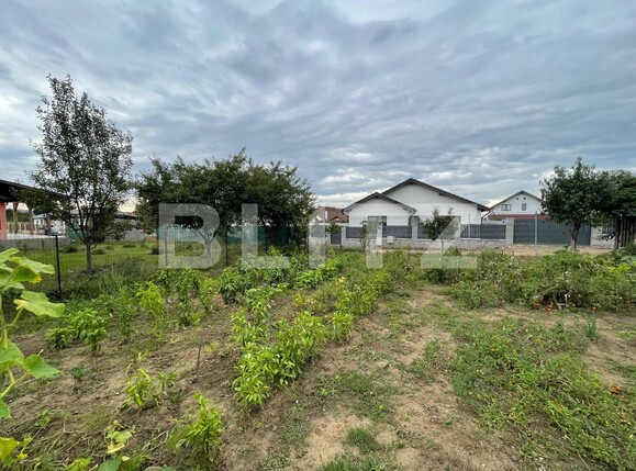 Casa de vânzare 3 camere Nazna - 97414CV | BLITZ Târgu Mureș | Poza9