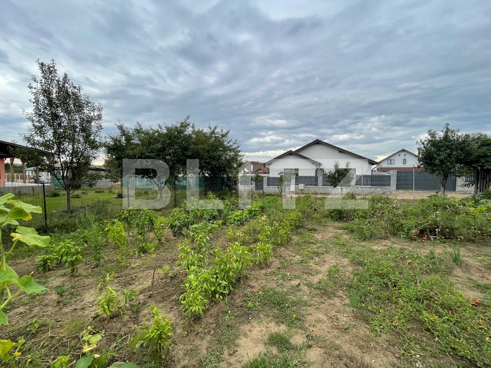 Casa de vânzare 3 camere Nazna - 97414CV | BLITZ Târgu Mureș | Poza9