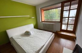  Casa cu 3 apartamente, 340 mp, teren 317 mp, garaj, Central