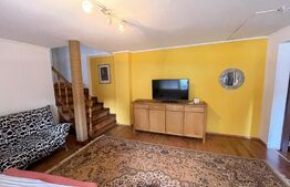  Casa cu 3 apartamente, 340 mp, teren 317 mp, garaj, Central