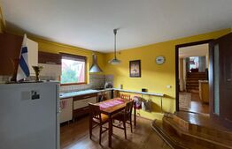  Casa cu 3 apartamente, 340 mp, teren 317 mp, garaj, Central