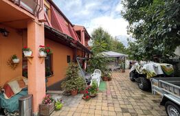  Casa cu 3 apartamente, 340 mp, teren 317 mp, garaj, Central