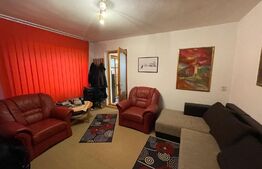  Casa cu 3 apartamente, 340 mp, teren 317 mp, garaj, Central