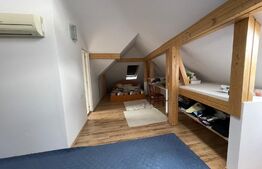  Casa cu 3 apartamente, 340 mp, teren 317 mp, garaj, Central