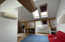  Casa cu 3 apartamente, 340 mp, teren 317 mp, garaj, Central