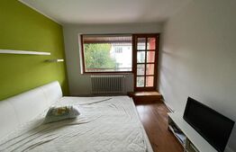  Casa cu 3 apartamente, 340 mp, teren 317 mp, garaj, Central