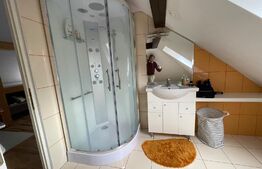  Casa cu 3 apartamente, 340 mp, teren 317 mp, garaj, Central