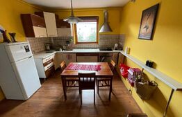  Casa cu 3 apartamente, 340 mp, teren 317 mp, garaj, Central