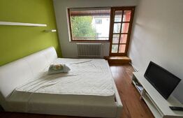  Casa cu 3 apartamente, 340 mp, teren 317 mp, garaj, Central