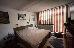  Casa cu 3 apartamente, 340 mp, teren 317 mp, garaj, Central