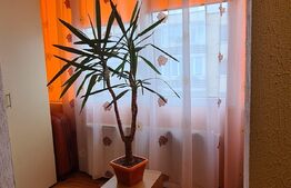 Apartament cu 2 camere