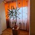 Apartament de vânzare 2 camere Unirii - 97848AV - Poza 1 din 10 | BLITZ Târgu Mureș | Poza9
