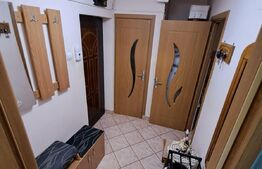 Apartament 3 camere, 75 mp, etaj intermediar, Dambu Pietros