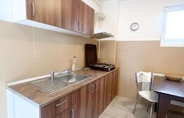 Garsonieră la casă, 32mp, zonă Centrală