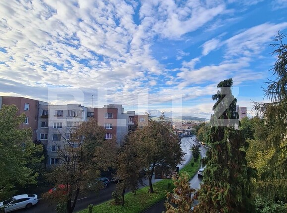 Apartament de vânzare 3 camere Dambu Pietros - 98652AV | BLITZ Târgu Mureș | Poza9