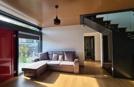 Casa modernă cu piscina, de 280 mp, in Budiu Mic