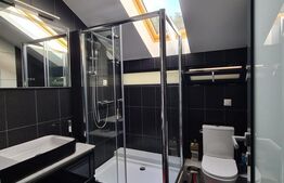 Casa modernă cu piscina, de 280 mp, in Budiu Mic