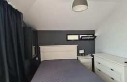 Casa modernă cu piscina, de 280 mp, in Budiu Mic